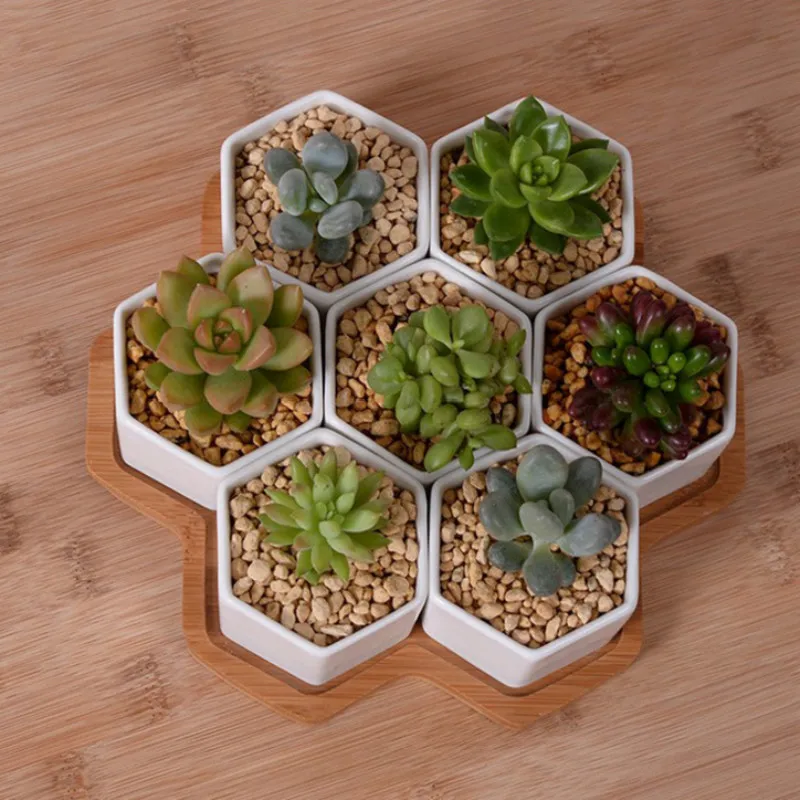 Set of 4/7/9/10 Hexagon Flower - Desk Setup White avaliação e preço