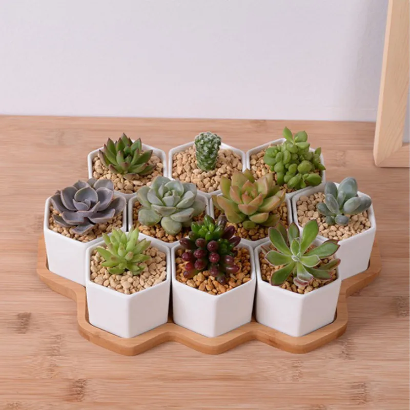 Set of 4/7/9/10 Hexagon Flower - Desk Setup White avaliação e preço